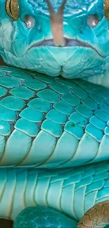 Vibrant teal snake with detailed scales in close-up.