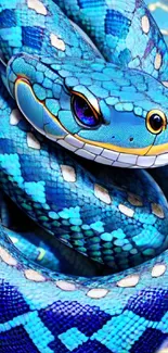 Vibrant blue snake with intricate patterns.