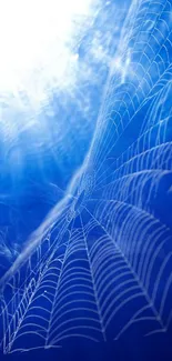 Blue spiderweb design illuminated by sunlight on mobile wallpaper.