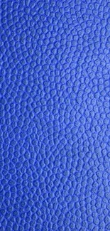 Blue textured mobile wallpaper with a leather-like pattern.