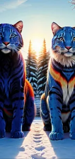 Two blue tigers sit majestically in a snowy forest at sunrise.