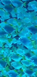 Vibrant tropical fish swimming in a blue ocean, perfect for a mobile wallpaper.