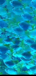 Vibrant blue tropical fish swimming in a serene underwater ocean scene.