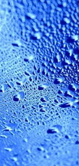 Blue water droplets on a vibrant background, perfect for mobile wallpaper.