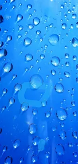 Blue wallpaper with water droplets design.