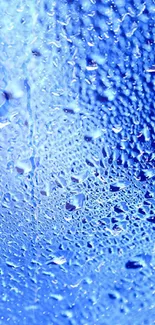 Close-up of blue water droplets on a textured background.