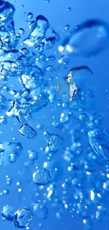 Vibrant blue water droplets on a mobile wallpaper background.