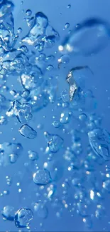 Blue water splash wallpaper with vibrant fluid dynamics.