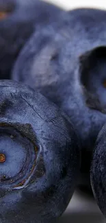 Close-up of vibrant blueberries on display.