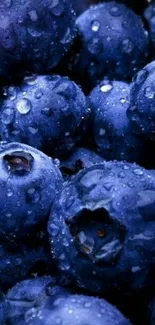 Close-up of vibrant blueberries with dew for mobile wallpaper.