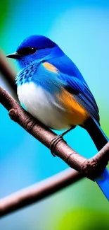 Vibrant blue bird perched on a brown branch with a bright sky background.