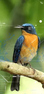 Colorful bluebird perched on a branch against green leaves.