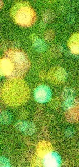 Vibrant bokeh wallpaper with green grass and glowing yellow lights.