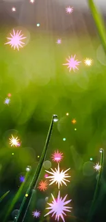 Green bokeh nature wallpaper with abstract stars.