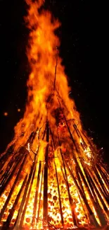 Bonfire blazing with intense flames against a dark night backdrop.