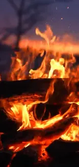 Blazing bonfire with vibrant flames in a scenic evening setting.