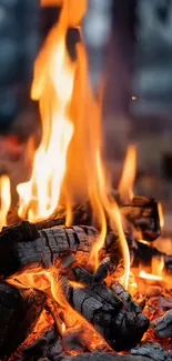 Vibrant flames dance over burning wood in a bonfire scene.