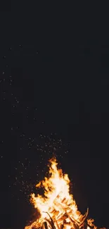 Vivid bonfire image on a dark background for mobile wallpaper.