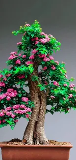 Bonsai tree with pink flowers in a pot, displaying natural beauty.