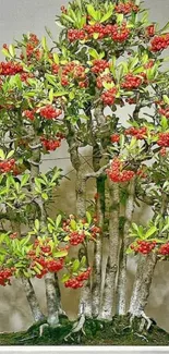 Vibrant bonsai tree with red berries and green leaves.