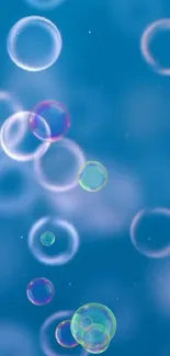 Colorful bubbles floating on a blue background wallpaper.