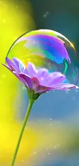 Purple flower with a bubble reflecting vibrant colors.