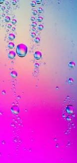 A vibrant gradient wallpaper with bubbles on a pink and blue background.