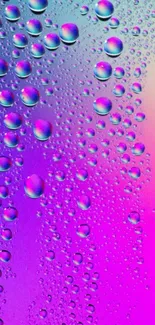 Colorful gradient wallpaper with water droplets in purple and blue hues.