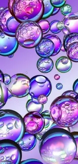 Vibrant multicolored bubble wallpaper on purple background.