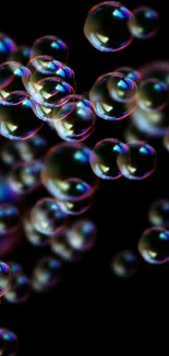 Colorful bubbles floating on a black background wallpaper.