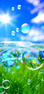 Vibrant nature wallpaper with bubbles, green grass, and a bright blue sky.