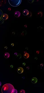 Colorful floating bubbles on black wallpaper.