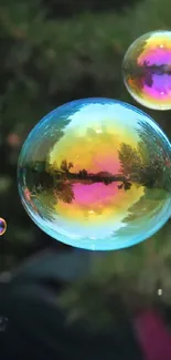 Colorful bubbles with nature reflection in the background.