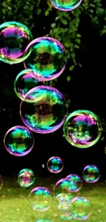 Colorful bubbles with a green background.