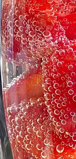 Close-up of strawberries in sparkling water with bubbles.