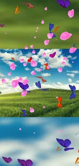 Vibrant blue sky with butterflies and petals over a green field.