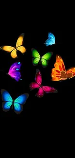 Vibrant colorful butterflies on a black background wallpaper.