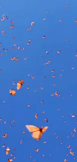 Orange butterflies gracefully soar in a vibrant blue sky, creating a stunning wallpaper.