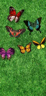 Vibrant butterflies resting on lush green grass, ideal for colorful mobile wallpaper.