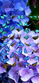 Blue butterflies on purple hydrangea flowers with sparkling highlights.