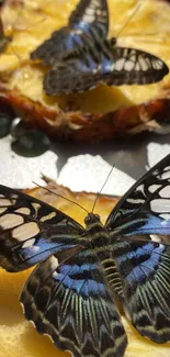 Two vibrant butterflies on a pineapple slice in vivid colors.