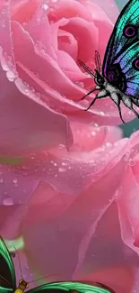Colorful butterflies on dewy pink roses.