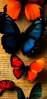 Colorful butterflies on textured background.