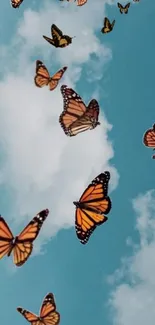 Orange Monarch butterflies on a blue sky with clouds.