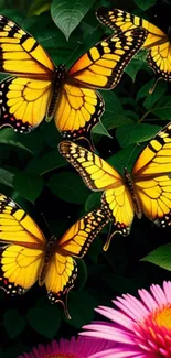 Yellow butterflies and pink flowers in a lush green garden.