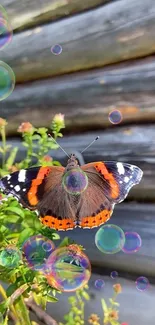 Vibrant butterfly and bubbles on a rustic wooden background.