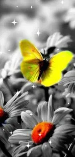 Yellow butterfly on daisies wallpaper with vivid contrast.