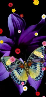 Butterfly on a purple flower with colorful blossoms