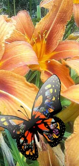 Vibrant orange lilies with butterfly mobile wallpaper.