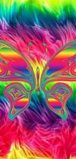 Colorful butterfly wallpaper with rainbow fur background